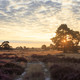 The National Park The Hoge Veluwe 