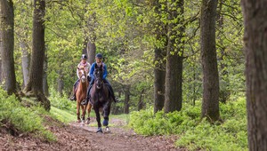 Horse riding in the natural surroundings