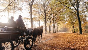 Veluwe