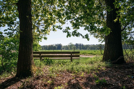 Fröhlicher Frühling