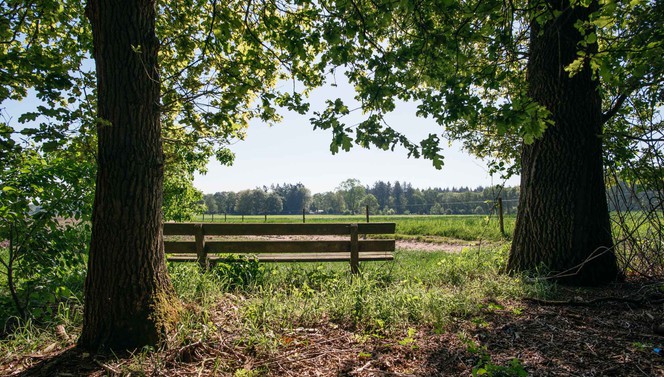 Fröhlicher Frühling