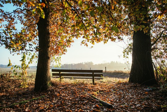 Herrliche Herbst