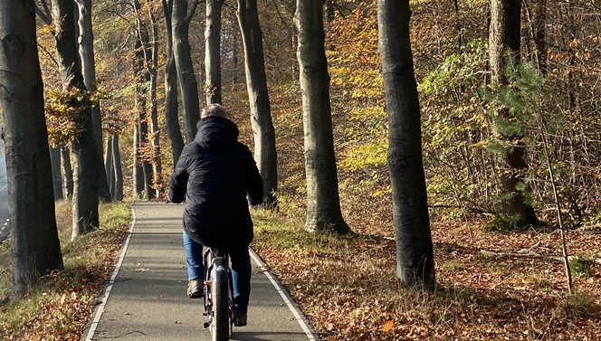 Herfst hotelarrangement op de Veluwe