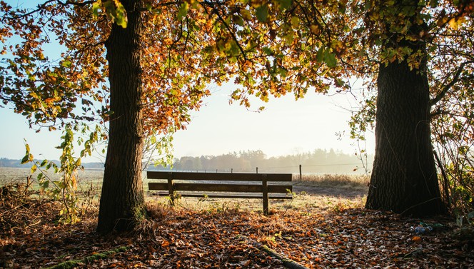 Herrliche Herbst