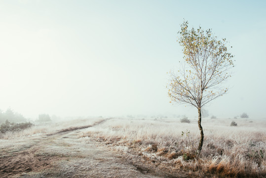 Hartje winter