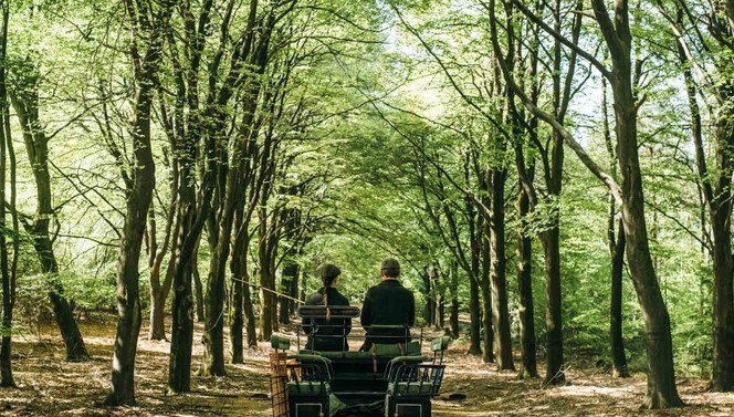 Carriage Veluwe