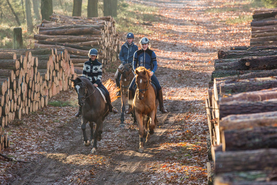 Horse riding