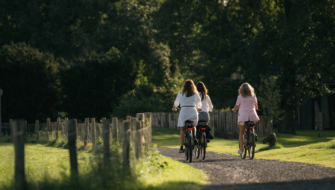 Bike Veluwe 