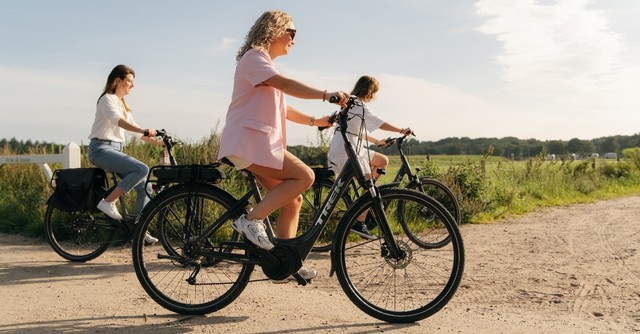 Entdecken Sie die Veluwe