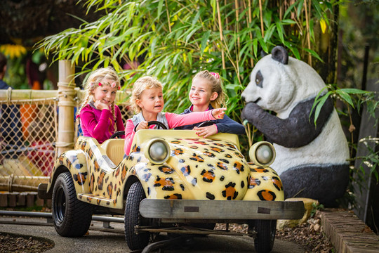 Kinderen in safari auto