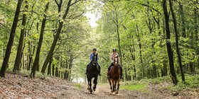 The Veluwe