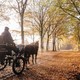 Carriage