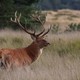 Landgut Het Loo