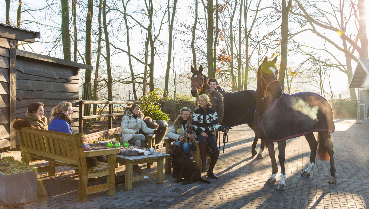 De ideale paardenvakantie op eigen grond